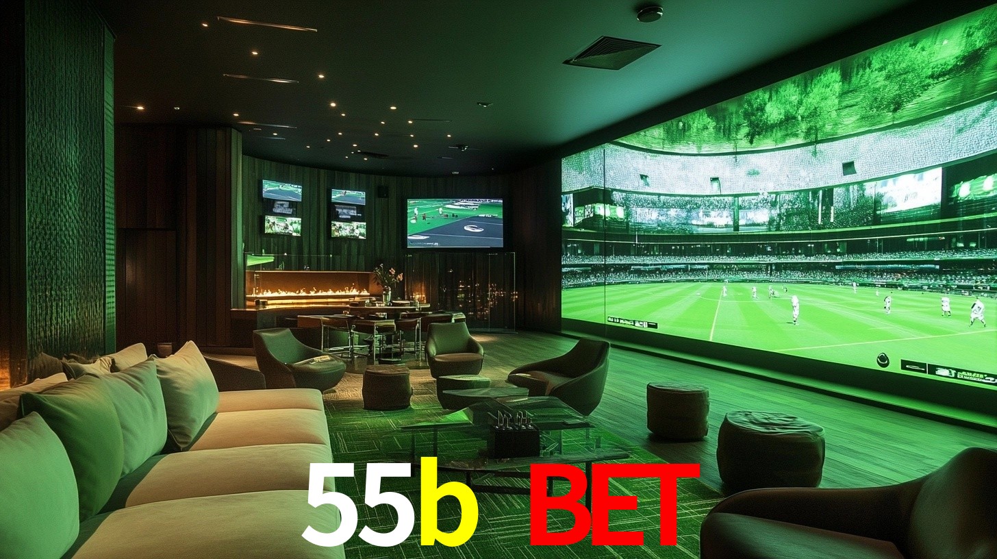 55b.com